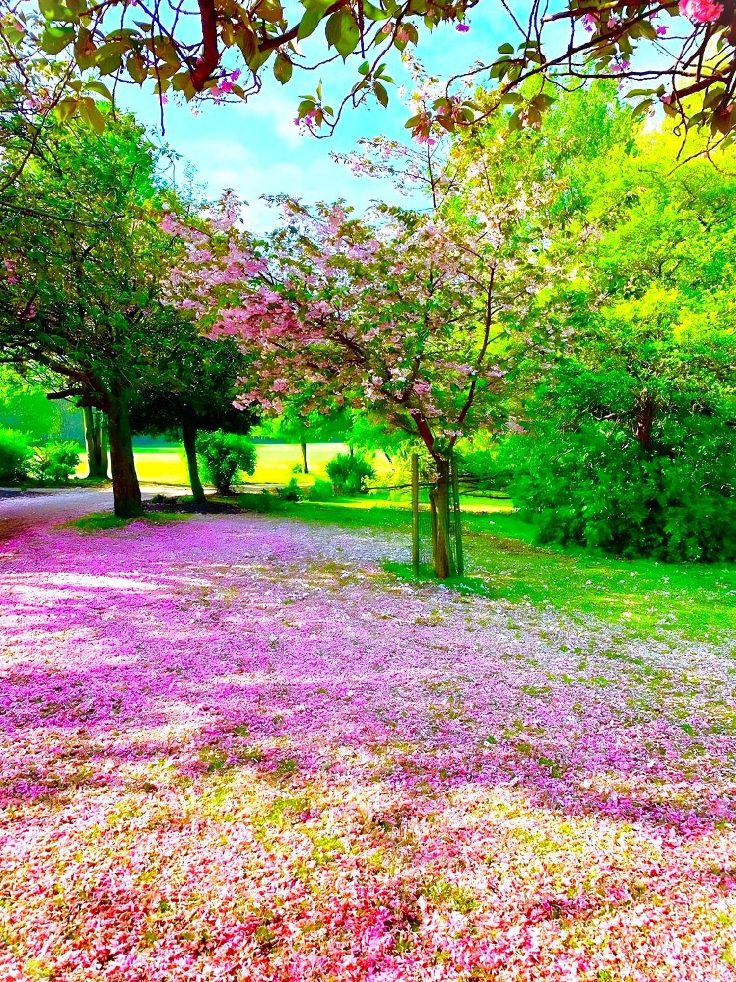 Sidemersey Livings - Botanic Residence 利物浦 外观 照片
